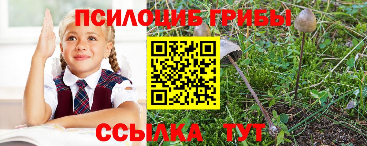 Псилоцибиновые грибы мицелий  Псилоцибиновые грибы Magic Shrooms  Кыштым  Вход с VPN 